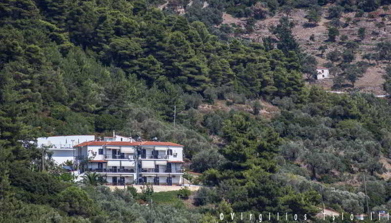 Aegeon Hotel Skopelos Town Exterior photo